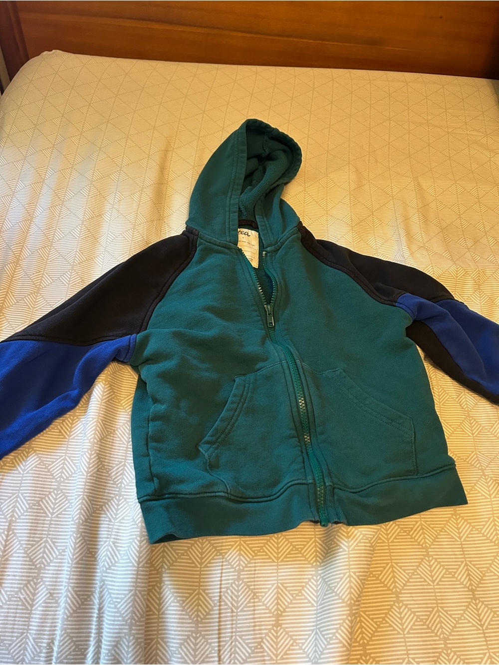 Kids Teal Hooded Zip Sweatshirt with Blue & Black Sleeves TEA collection